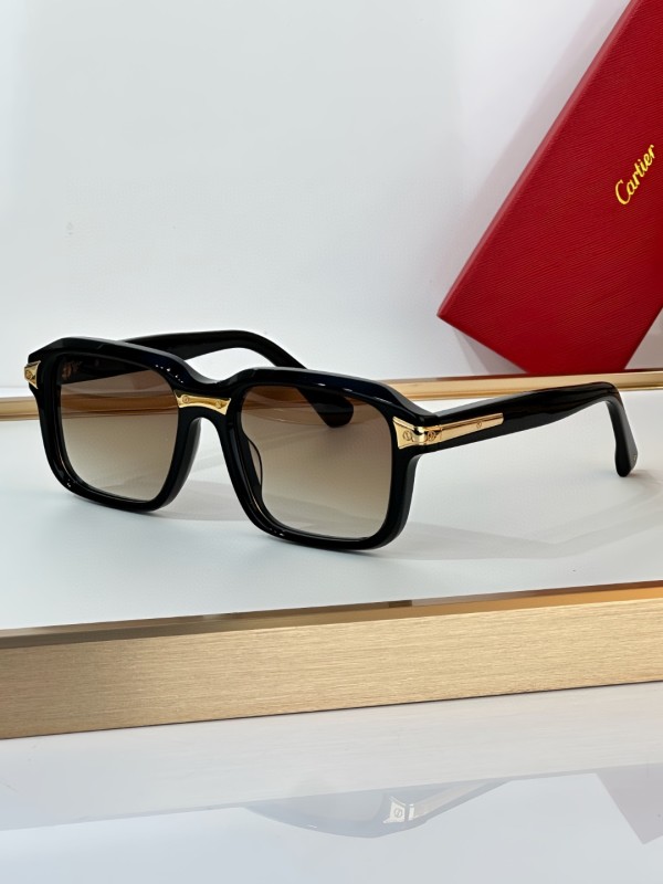 Cartier Glasses 08smh16 (1)