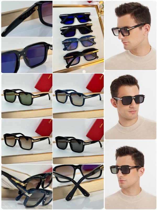 Cartier Glasses 08smh16 (10)