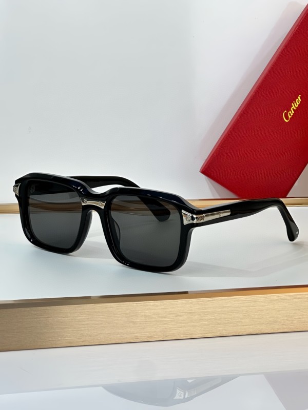 Cartier Glasses 08smh16 (2)