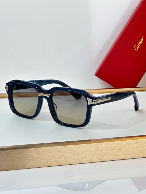 Cartier Glasses 08smh16 (3)