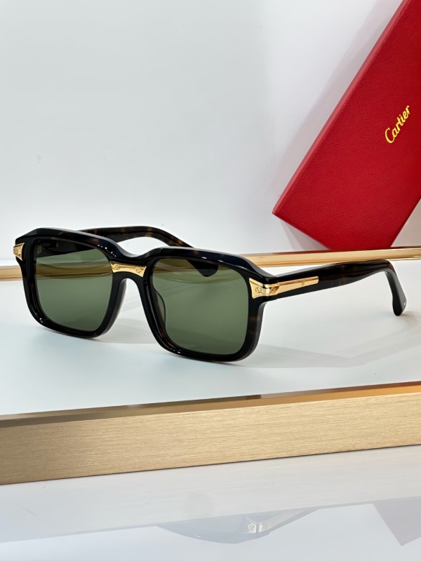 Cartier Glasses 08smh16 (4)