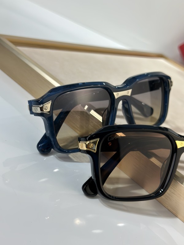 Cartier Glasses 08smh16 (5)