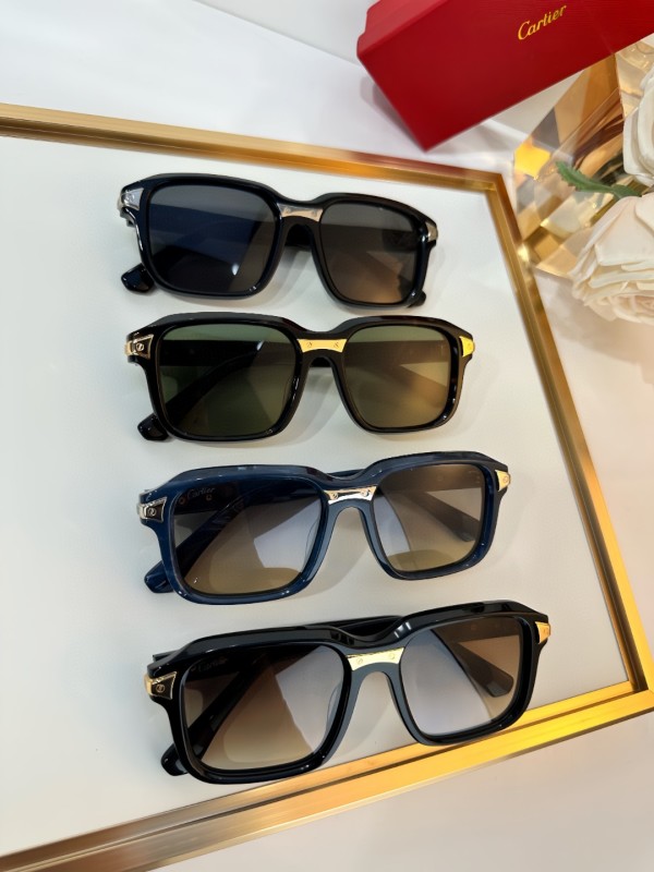 Cartier Glasses 08smh16 (8)