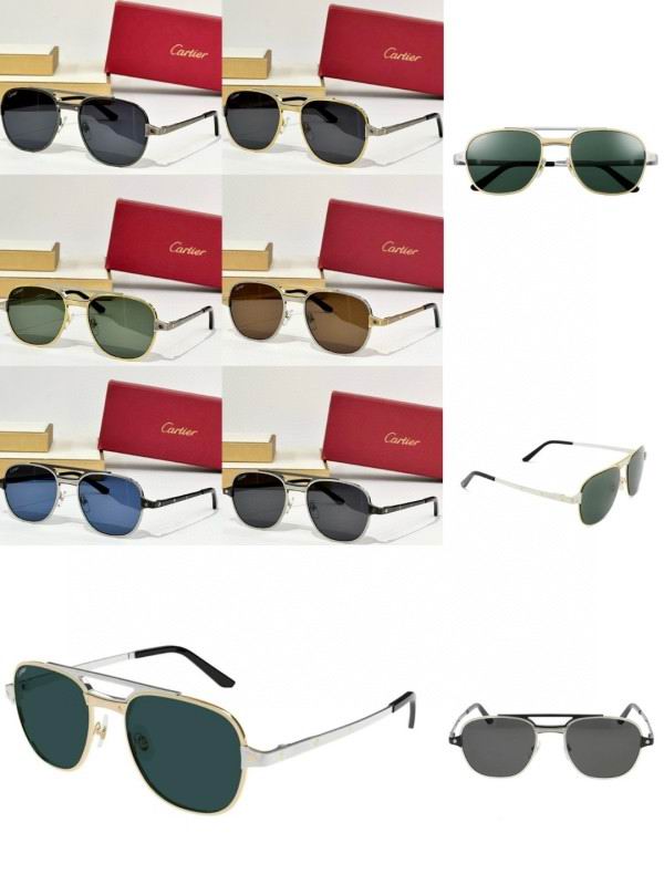 Cartier Glasses 08smh160 (10)