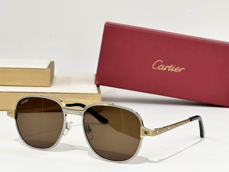 Cartier Glasses 08smh160 (6)