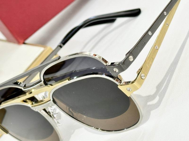 Cartier Glasses 08smh160 (7)