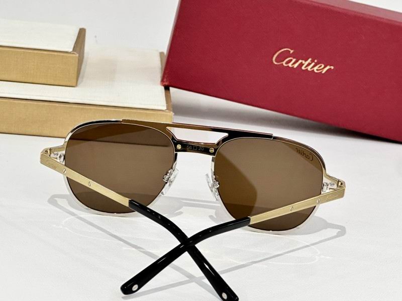 Cartier Glasses 08smh160 (8)