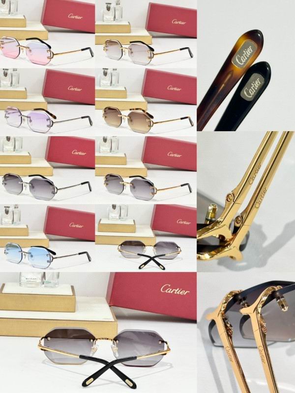 Cartier Glasses 08smh161 (10)