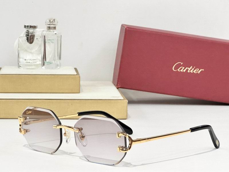 Cartier Glasses 08smh161 (3)