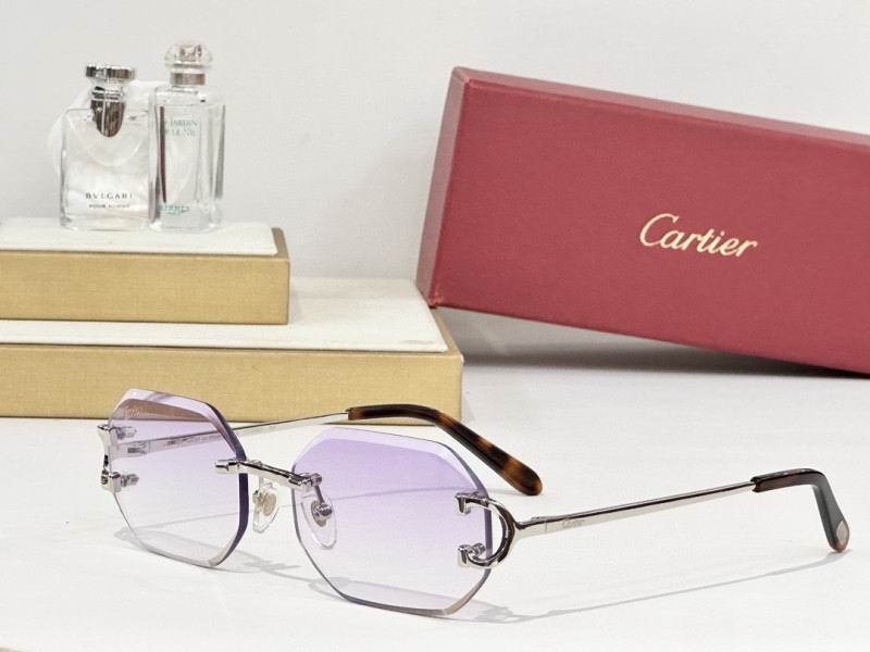 Cartier Glasses 08smh161 (5)