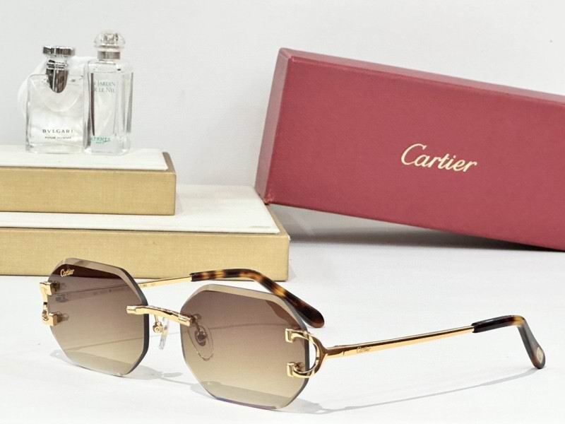Cartier Glasses 08smh161 (6)