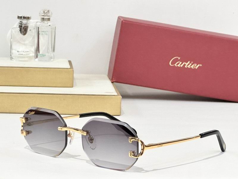 Cartier Glasses 08smh161 (7)