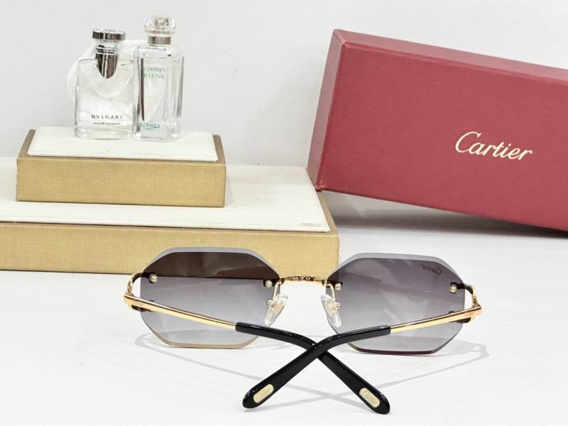 Cartier Glasses 08smh161 (8)