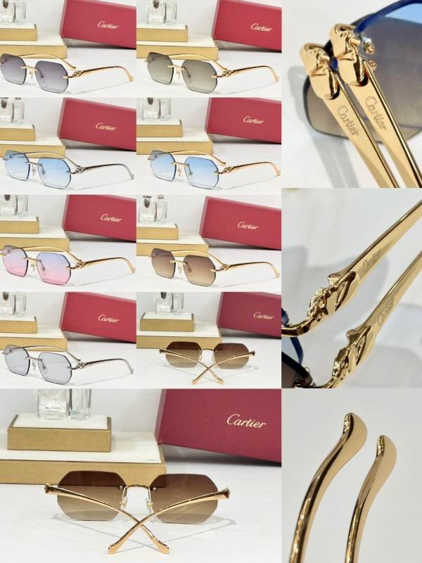 Cartier Glasses 08smh162 (10)