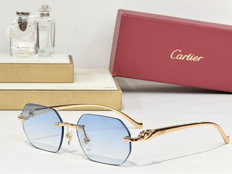 Cartier Glasses 08smh162 (4)