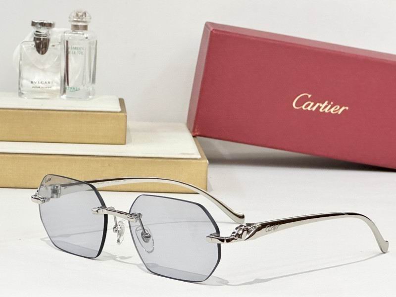 Cartier Glasses 08smh162 (5)