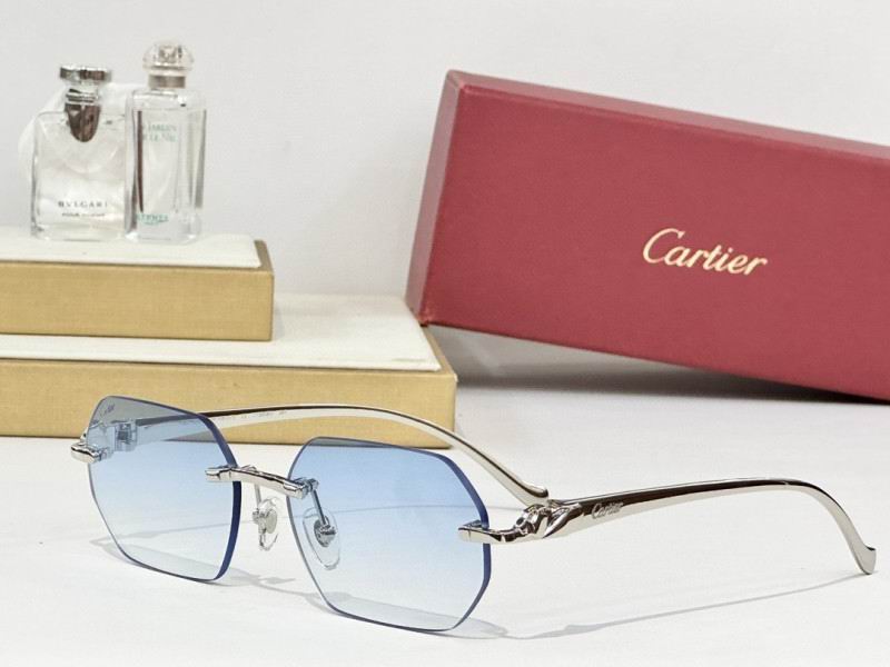 Cartier Glasses 08smh162 (6)
