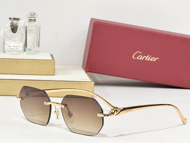 Cartier Glasses 08smh162 (7)