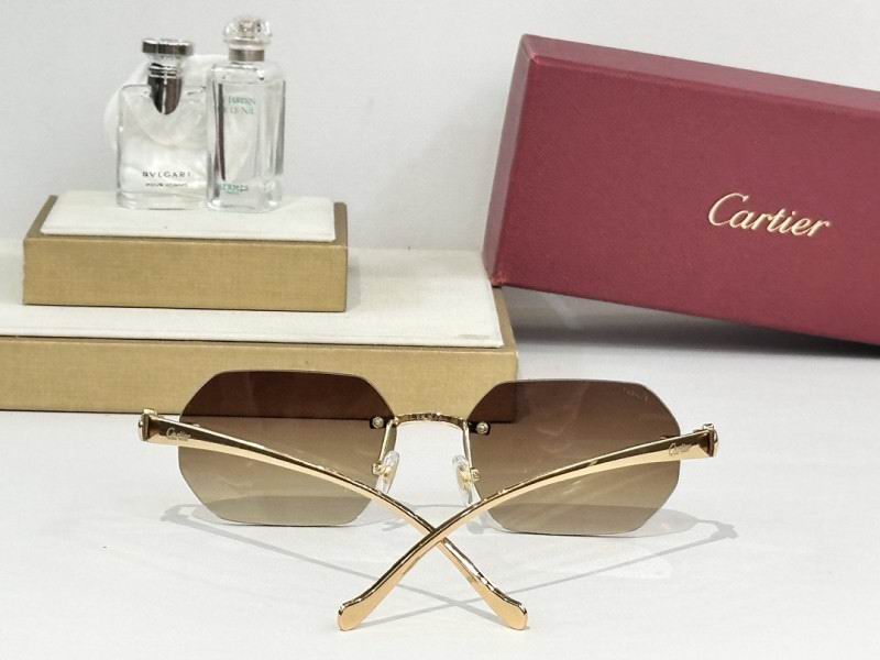 Cartier Glasses 08smh162 (8)
