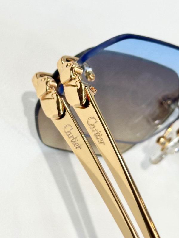 Cartier Glasses 08smh162 (9)