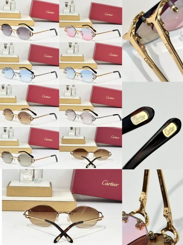Cartier Glasses 08smh163 (10)