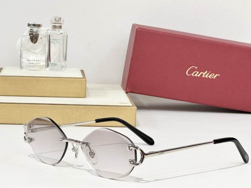 Cartier Glasses 08smh163 (5)