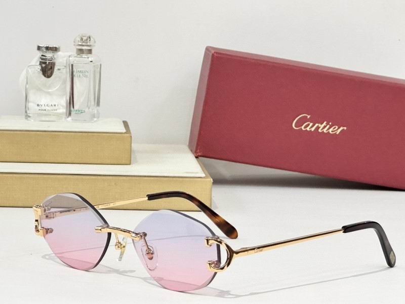 Cartier Glasses 08smh163 (6)