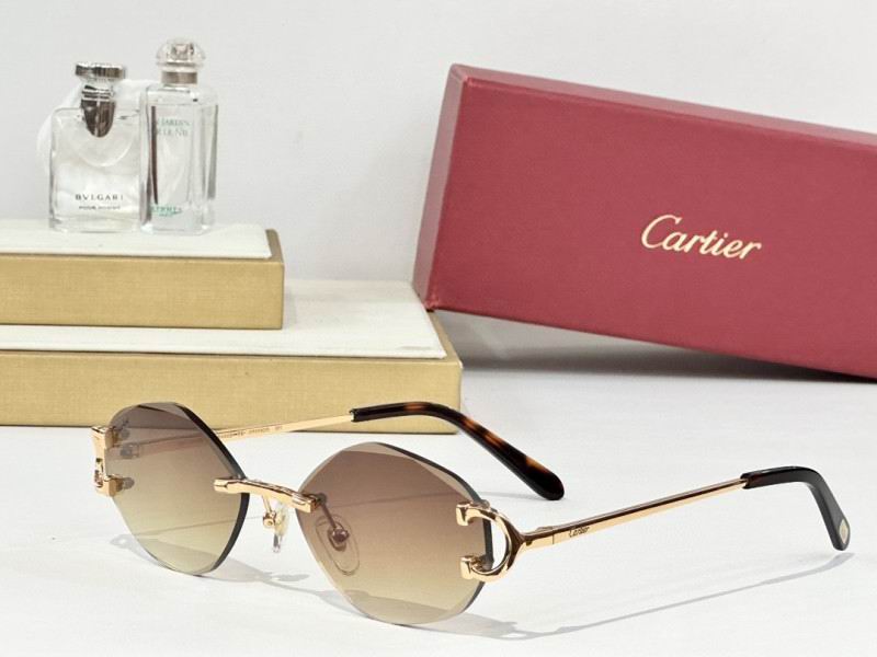 Cartier Glasses 08smh163 (7)