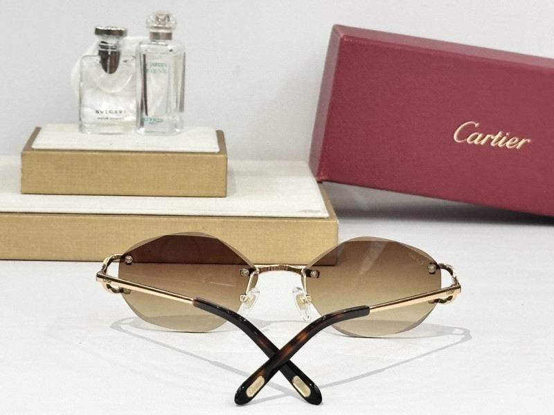 Cartier Glasses 08smh163 (8)