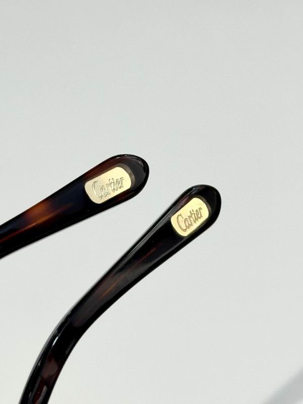Cartier Glasses 08smh163 (9)
