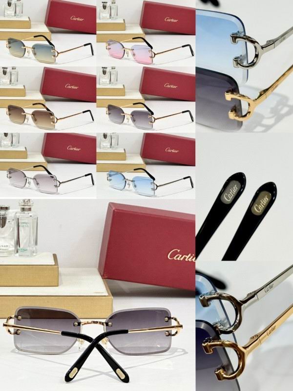 Cartier Glasses 08smh164 (10)