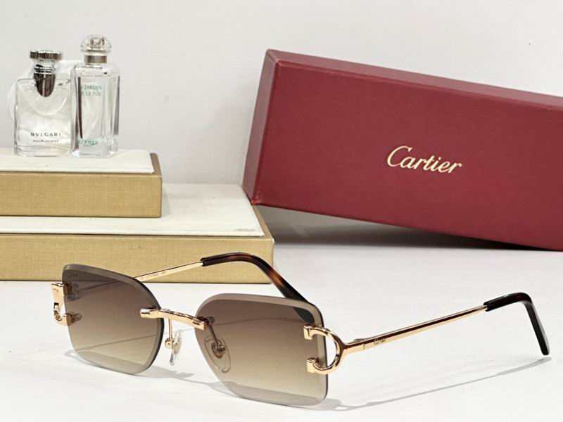 Cartier Glasses 08smh164 (3)