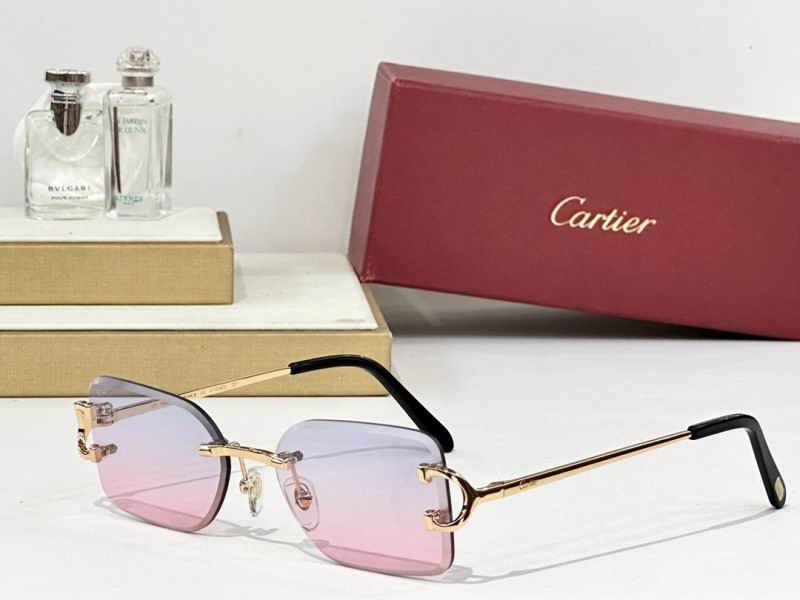 Cartier Glasses 08smh164 (4)