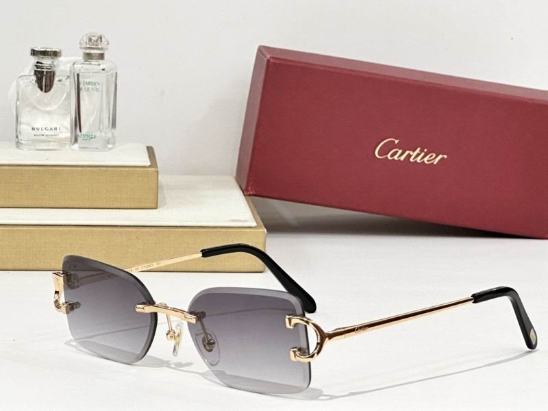 Cartier Glasses 08smh164 (6)