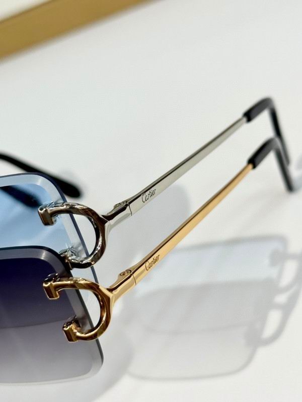 Cartier Glasses 08smh164 (8)