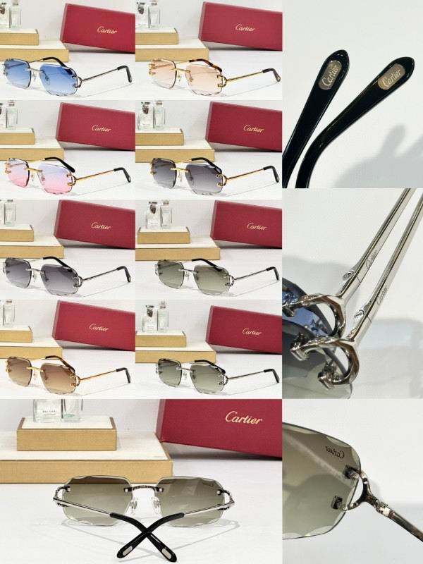 Cartier Glasses 08smh165 (10)