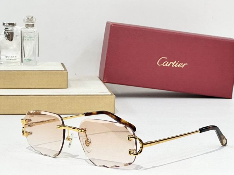 Cartier Glasses 08smh165 (3)
