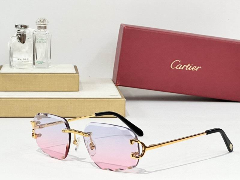 Cartier Glasses 08smh165 (4)