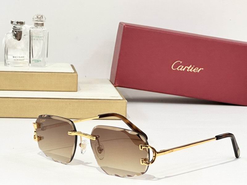 Cartier Glasses 08smh165 (5)