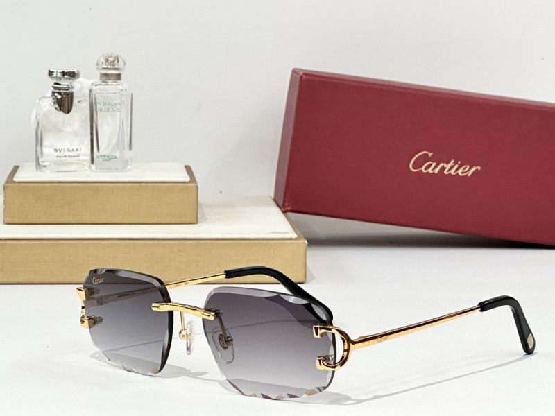 Cartier Glasses 08smh165 (6)