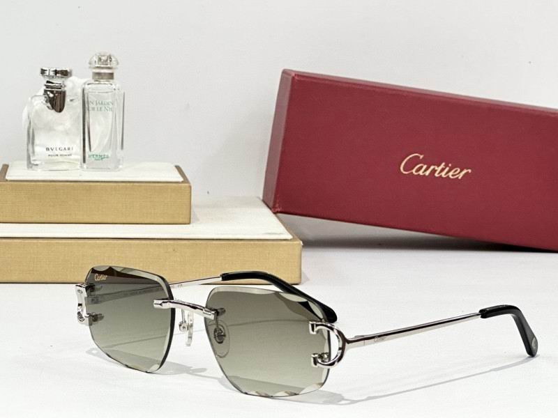 Cartier Glasses 08smh165 (8)