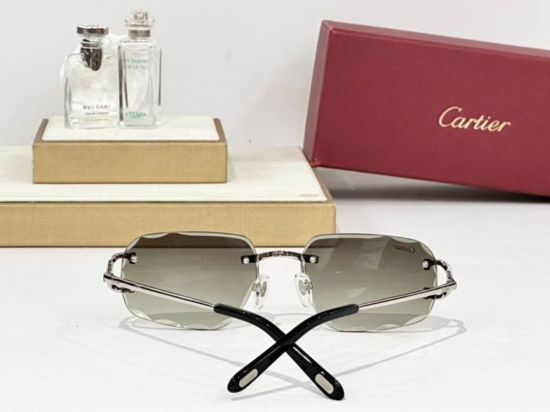Cartier Glasses 08smh165 (9)