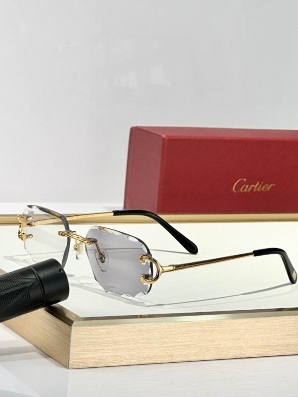 Cartier Glasses 08smh167 (3)