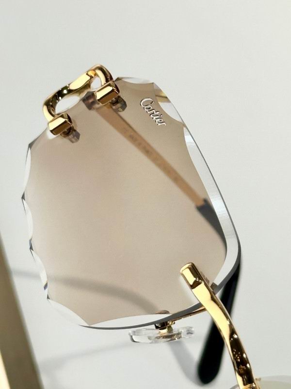 Cartier Glasses 08smh167 (6)