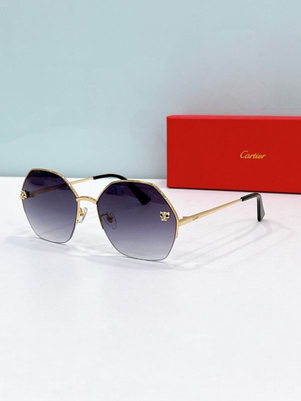 Cartier Glasses 08smh169 (4)