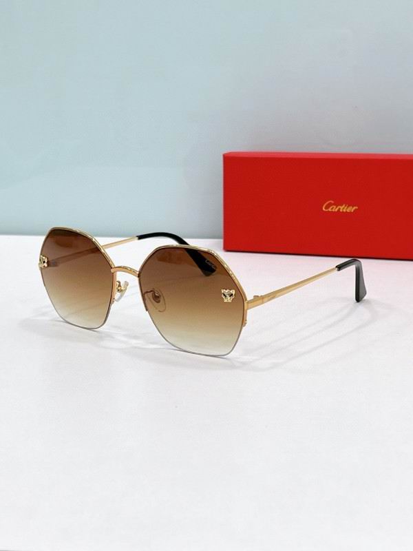 Cartier Glasses 08smh169 (5)