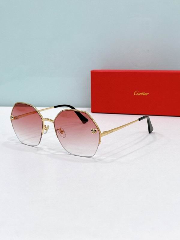 Cartier Glasses 08smh169 (6)