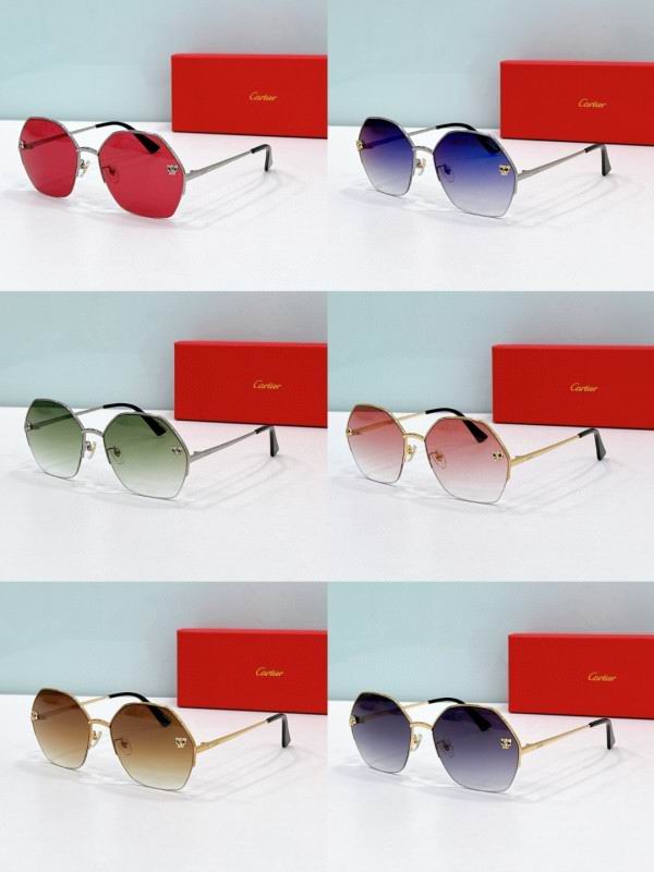 Cartier Glasses 08smh169 (8)