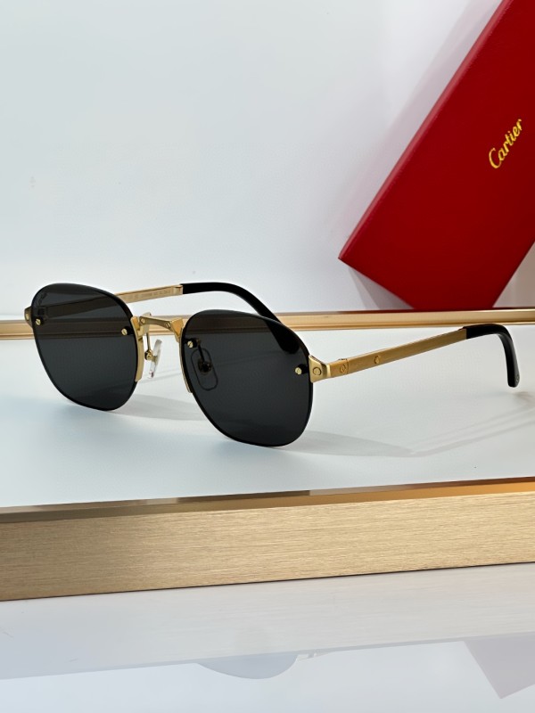 Cartier Glasses 08smh17 (3)