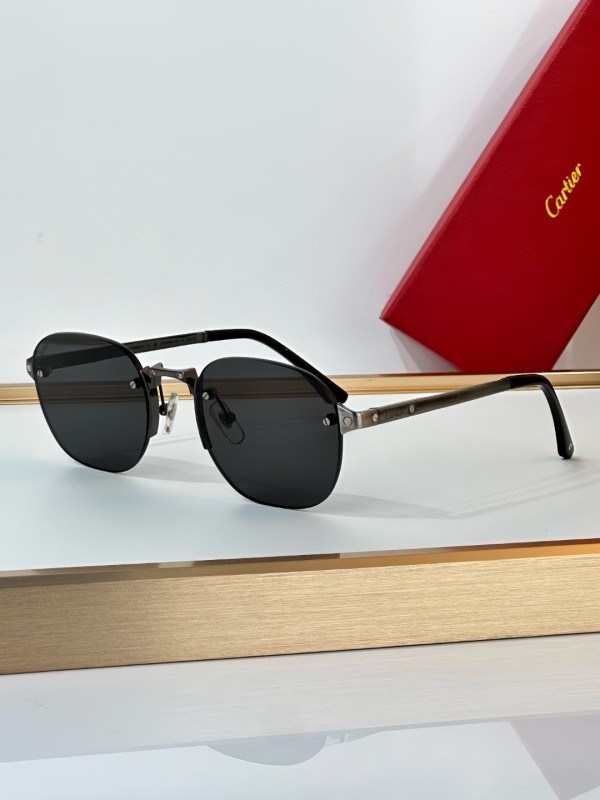 Cartier Glasses 08smh17 (4)